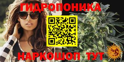а пвп мука Гагарин