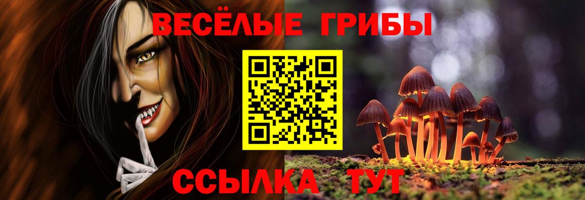 Ишим  Галлюциногенные грибы Cubensis  Вход с VPN  Псилоцибиновые грибы Psilocybe 